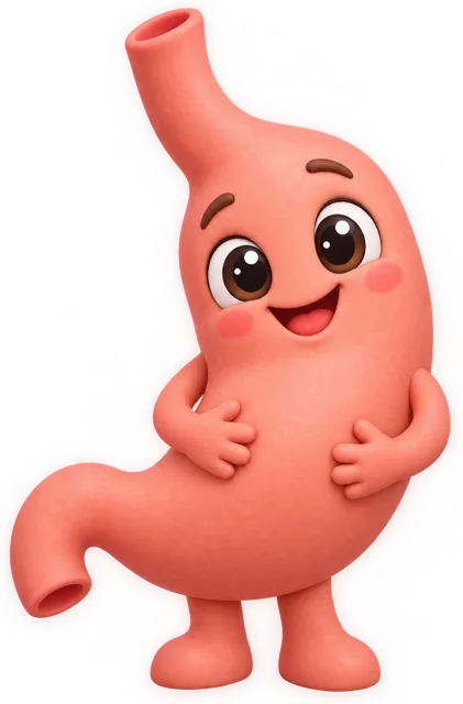 胃小伙伴